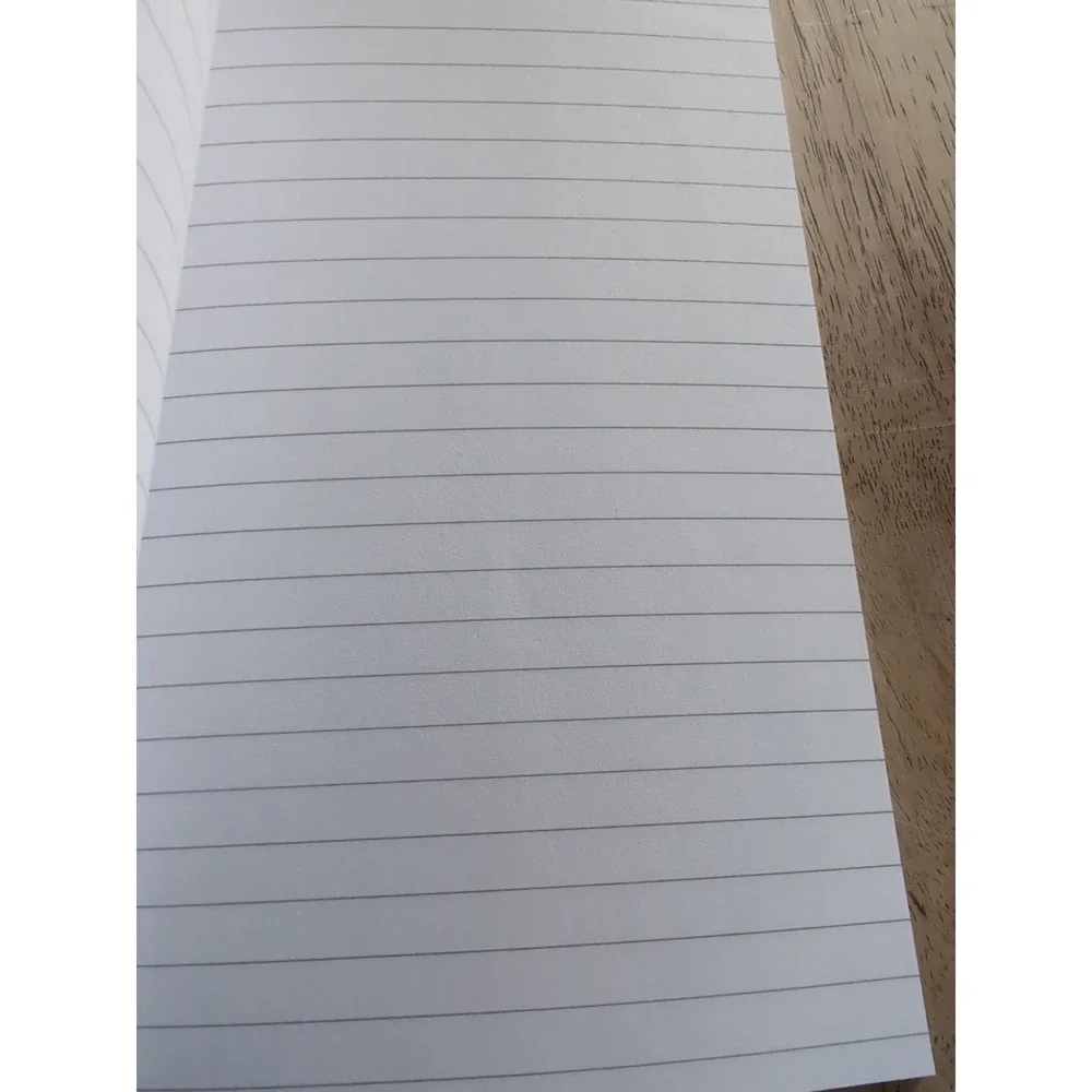 Things I Want‎ to Say in the Meeting but I Can't Notebook